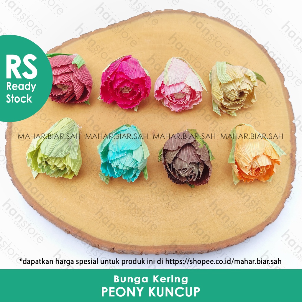 RS ± 3 cm Bunga Klobot PEONY KUNCUP / Kering / Dekorasi / Mahar / Seserahan / Rustic / Bunga Jagung