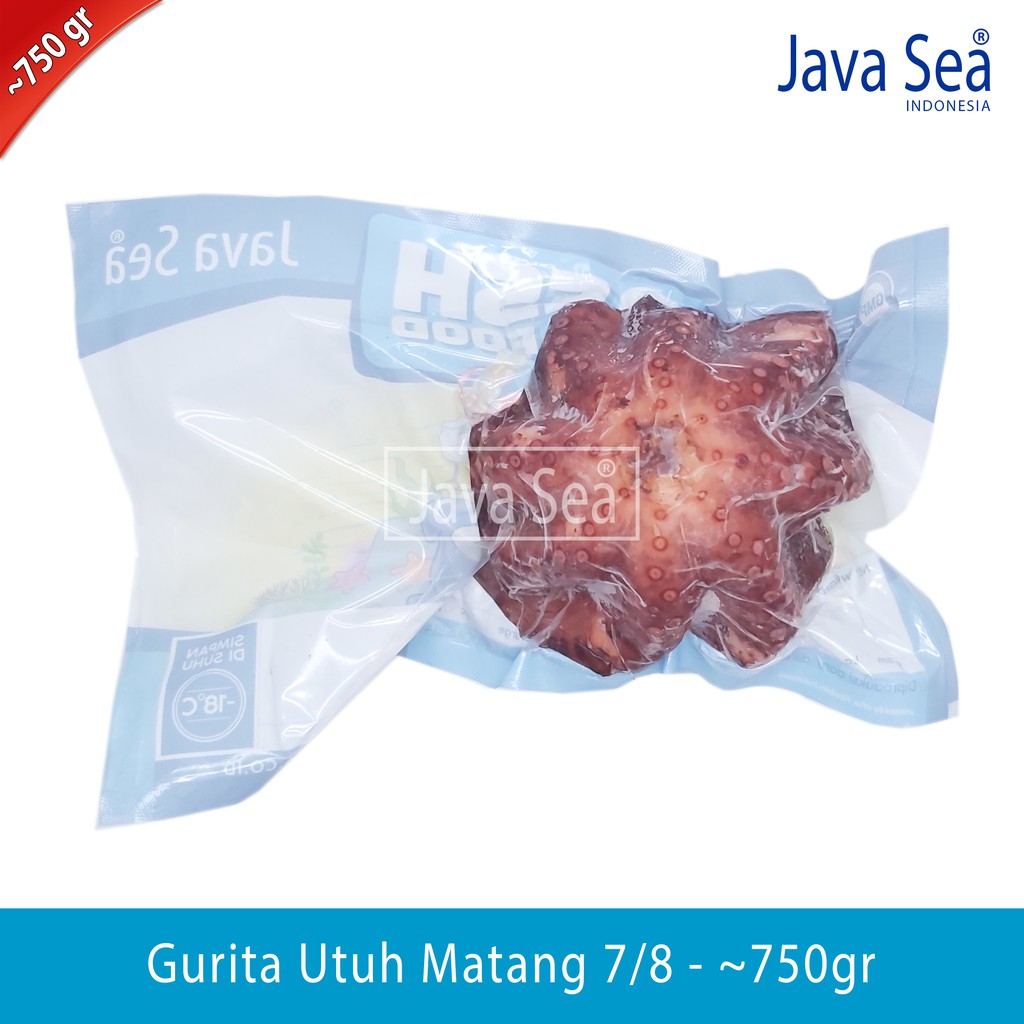 

Gurita Utuh sudah matang 7/8 pack 700-800gr Java Sea
