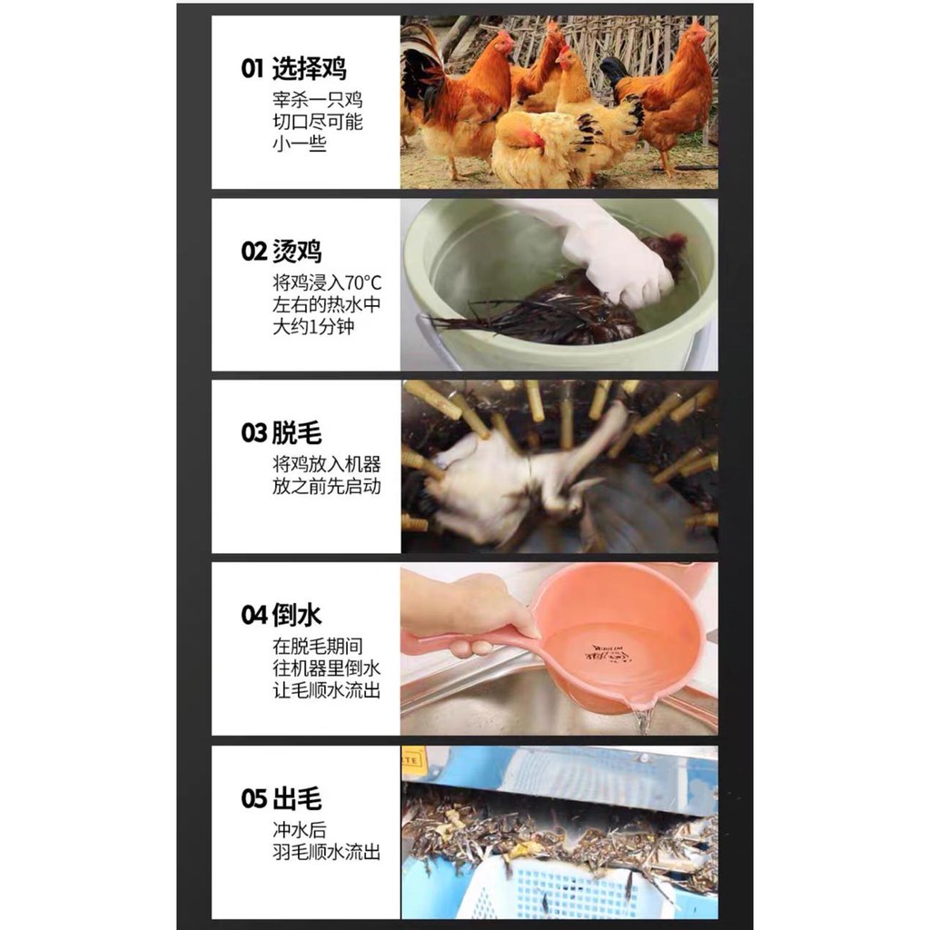 MAXPUMP MESIN TM-60 Mesin Pencabut Bulu Ayam Mesin Cabut Bulu Bebek Ayam Mesin bubut bulu ayam Stainles Stell