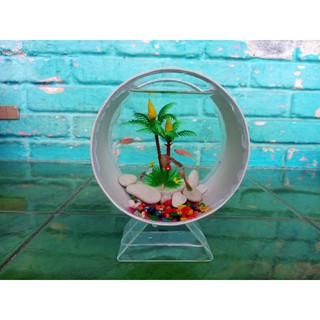 aquarium mini unik akrilik pvc bulat cupang,gapi,neon,ikan