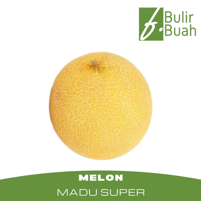 

Buah Segar Melon Madu Super/Buah
