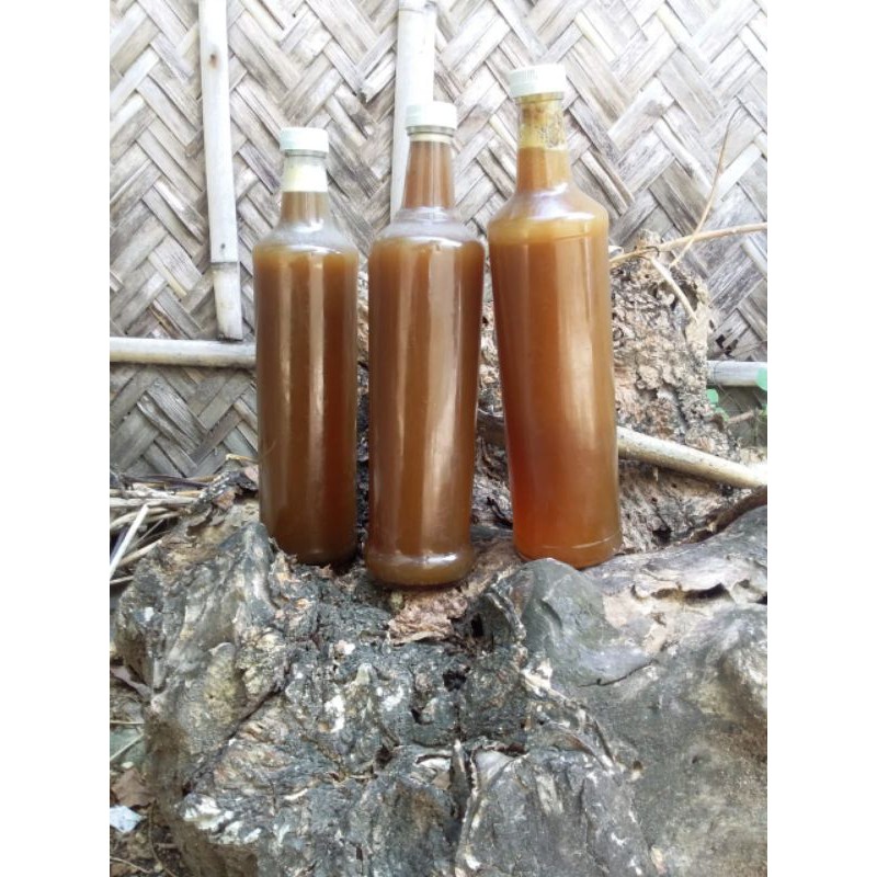 

madu klanceng 175.000