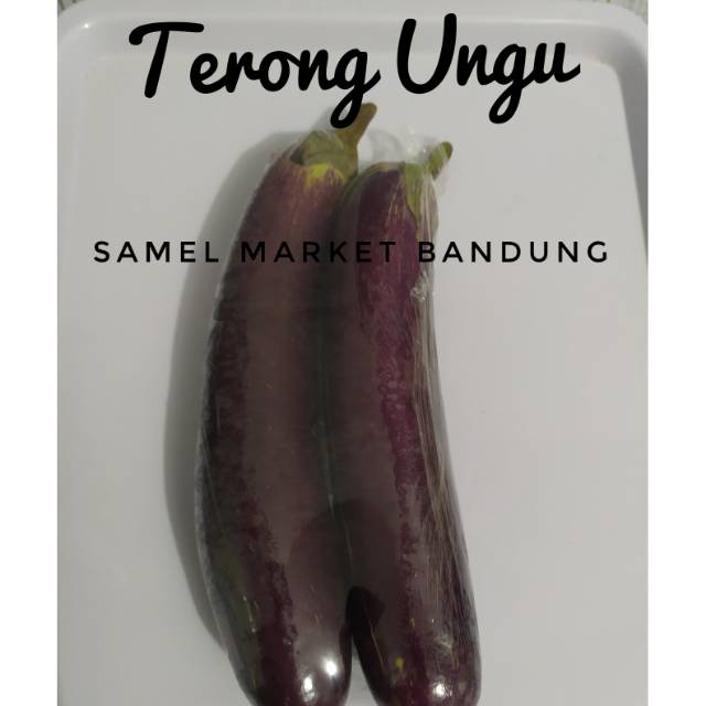 

Terong Ungu