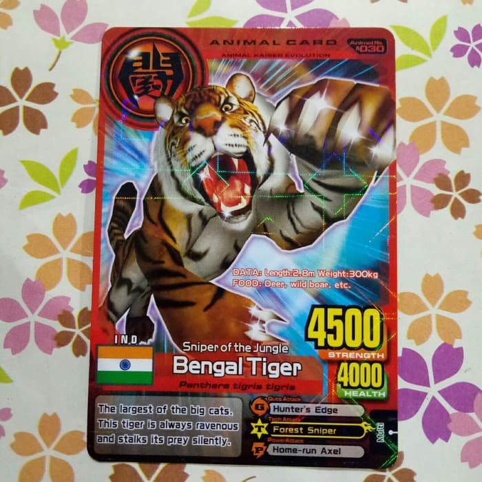animal kaiser normal bengal tiger evo 8