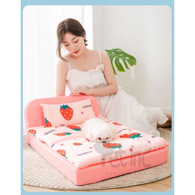 Chimdae pet sponge bed set with pillow and blanket