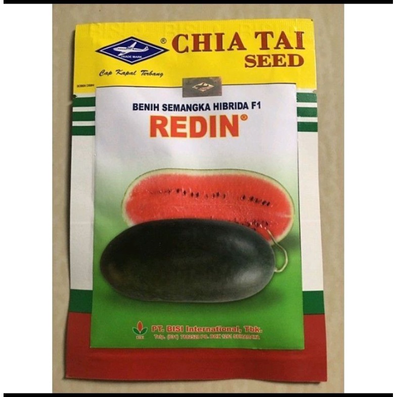 

new year 1.1 Semangka Hibrida REDIN by CHIA TAI