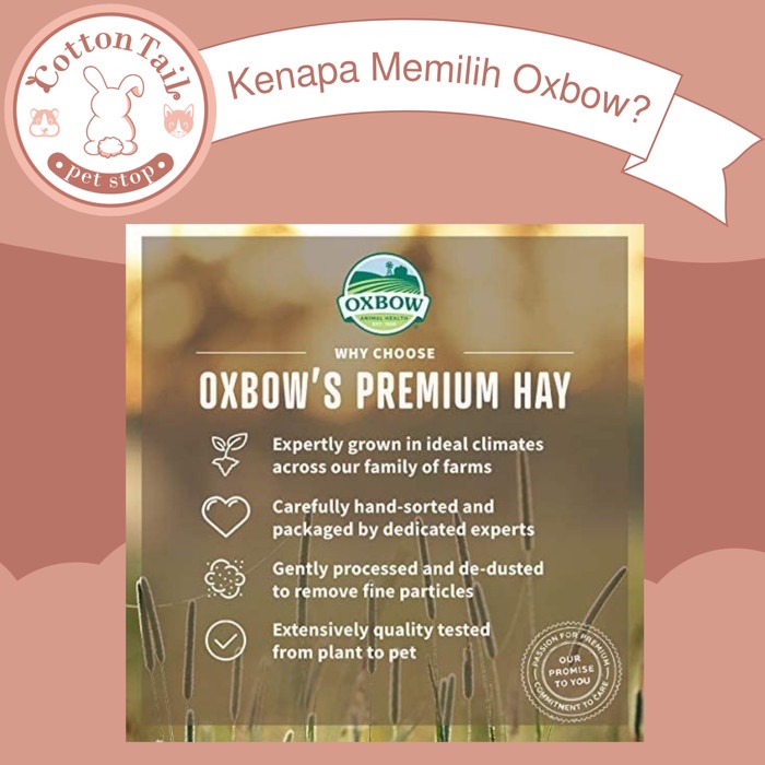 OXBOW Western TIMOTHY Hay 1kg / Rumput Makanan Kelinci, Cavy