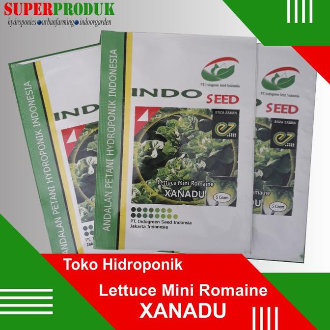 Benih Selada Baby Romaine Xanadu Enza Indoseed Lettuce Romaine