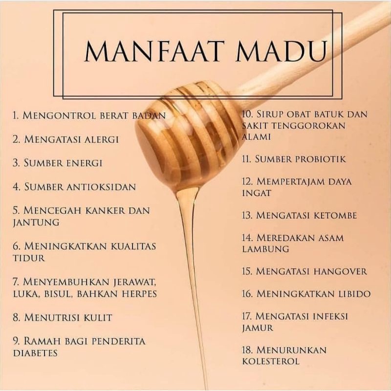 Grosir Termurah Madu Murni Akasia Carva [ 5kg ] 100% Raw Honey ORGANIC