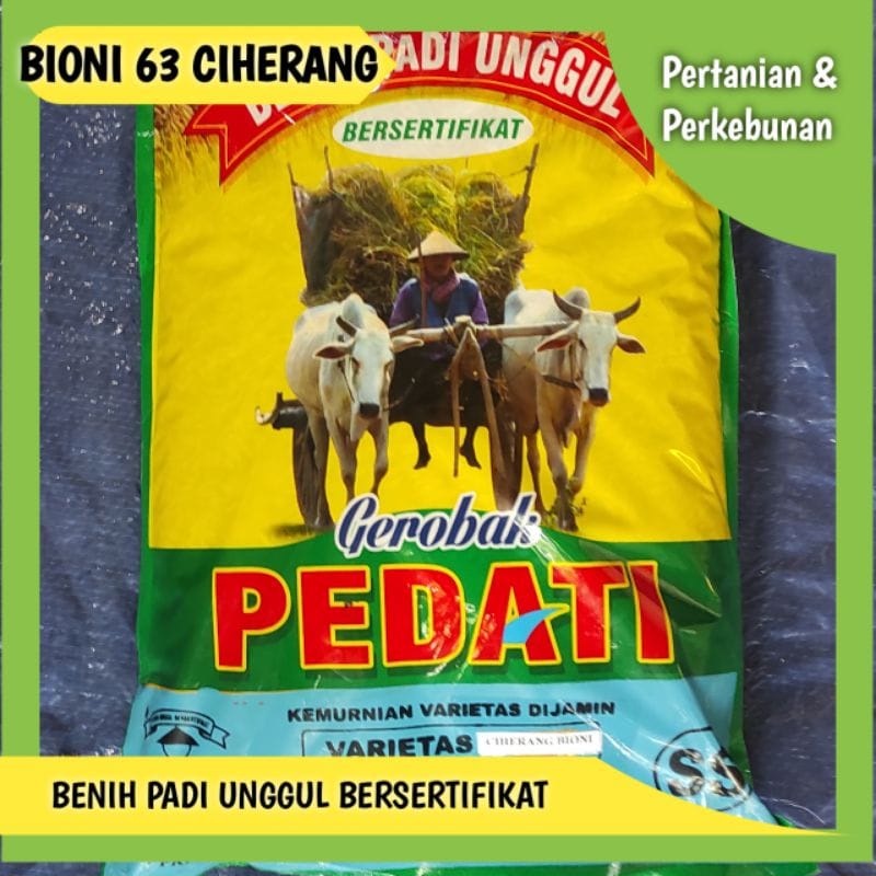 Benih Padi Unggul Bioni 63 Ciherang