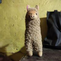 Shopee Indonesia Jual Beli Di Ponsel Dan Online