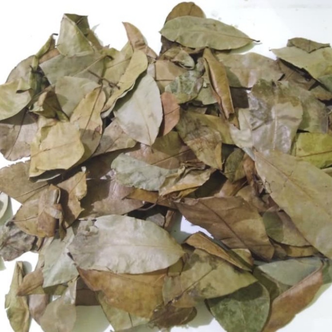 

New Daun sirsak kering 200 gr