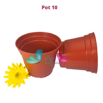 Pot bunga Murah /Pot Tanaman / Pot Plastik Merah Bata uk 8,10,12,15,17,17A &amp; 20 cm Pot Bunga Pot Tanaman Termurah Bahan Bagus Pot Bunga Besar Plastik Putih Hias Pot Bunga Coklat Bata  Besar 15 Aestetic