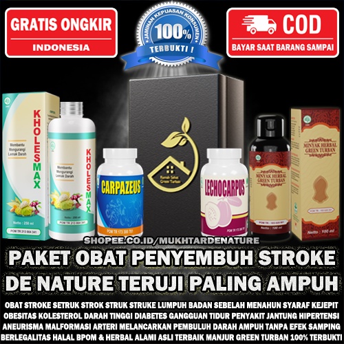 Obat Stroke Lumpuh Badan Sebelah Menahun Syaraf Kejepit Kolesterol Darah Tinggi Hipertensi Paling Am