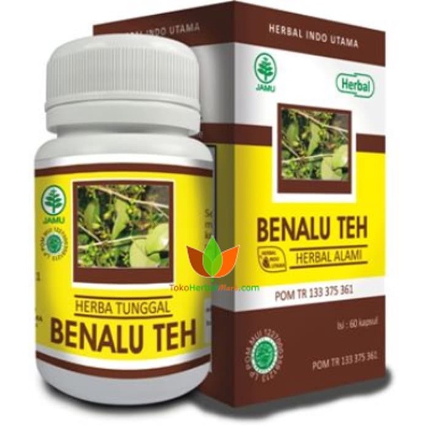 

ORIGINAL MURAH KAPSUL BENALU TEH ASLI HERBAL INDO UTAMA, OBAT KANKER, OBAT KISTA