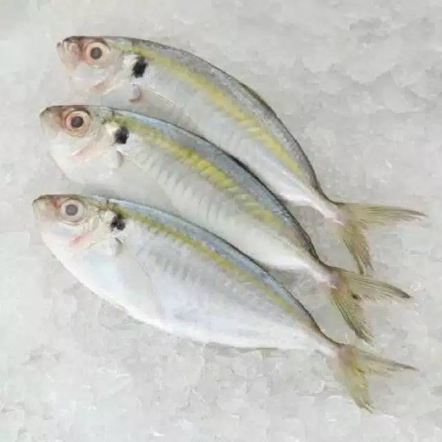 

Ikan selar fresh 500gram