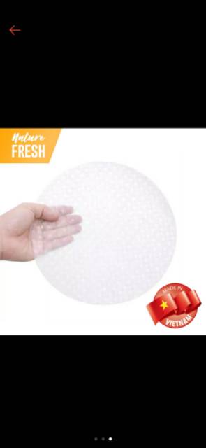 Kulit Lumpia Vietnam Rice Paper Diameter 22 cm - VINA BICH CHI BANH