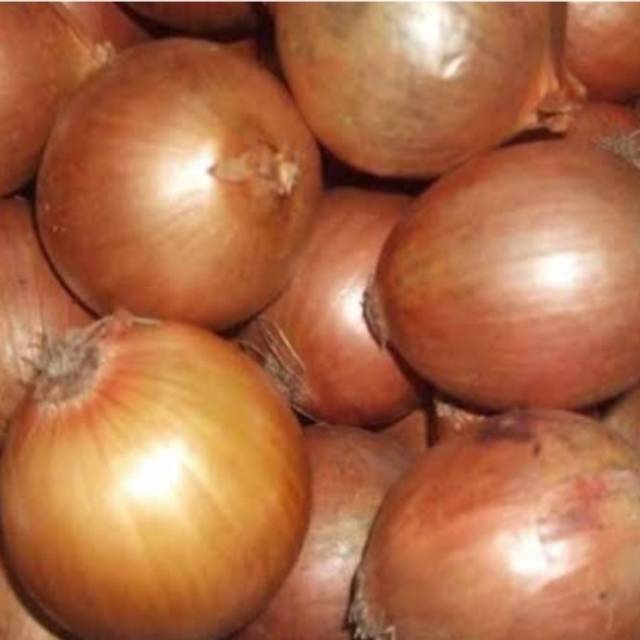 

Bawang bombay 500 gr