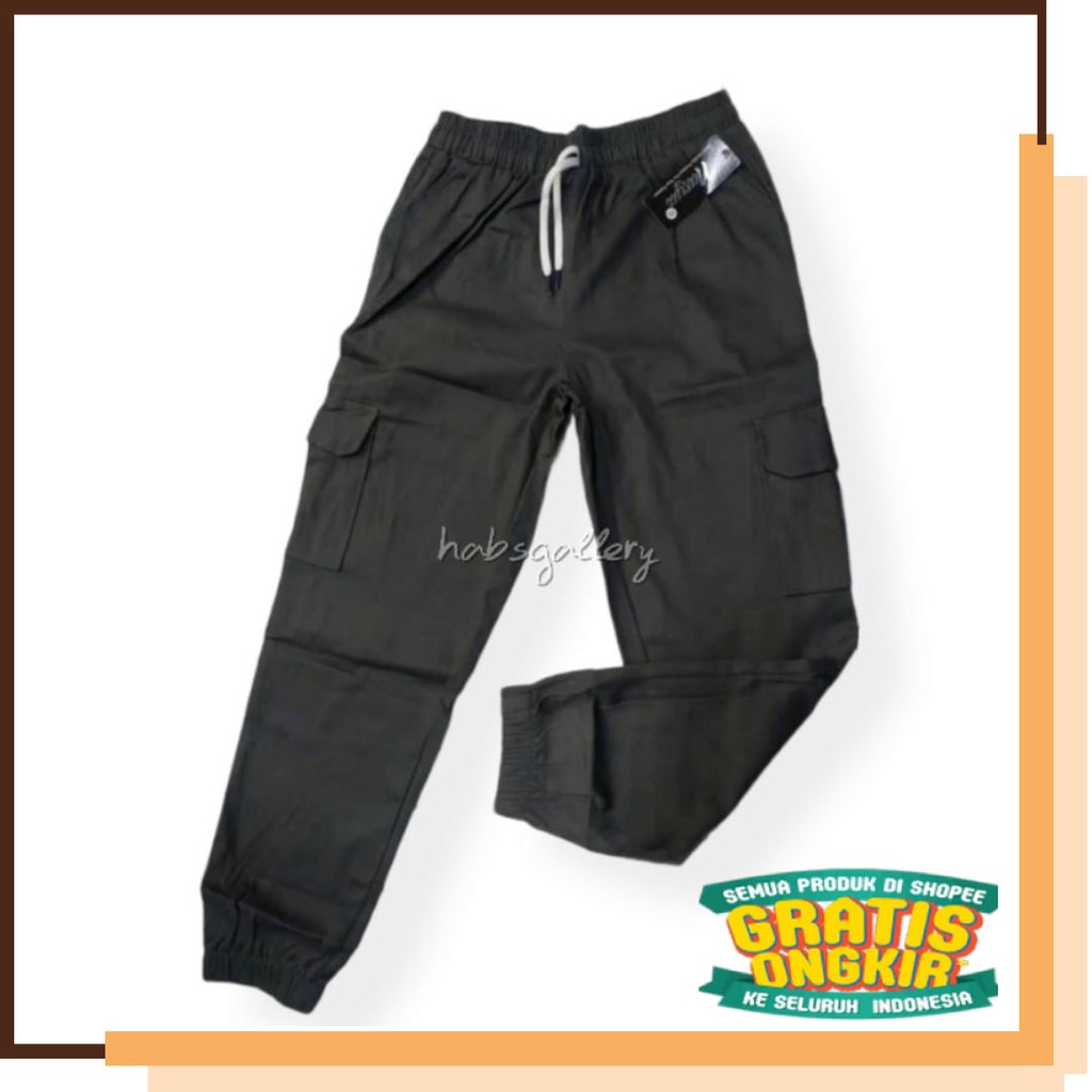 Casual Santai Kolor TAli Kancing Formal Kerja  / Celana Joger Model Saku Samping / Celana Jogger Car