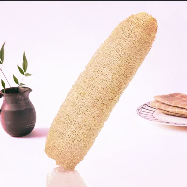 Loofah Sponge / Loofah Spons / Loofah Panjang