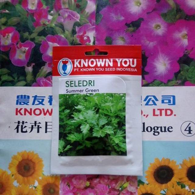 Benih Seledri SUMMER GREEN(5 gram)