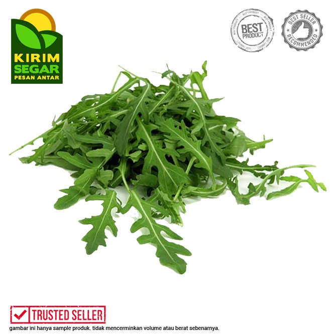 

Daun Arugula / Arugula Fresh / Arugula / Pack