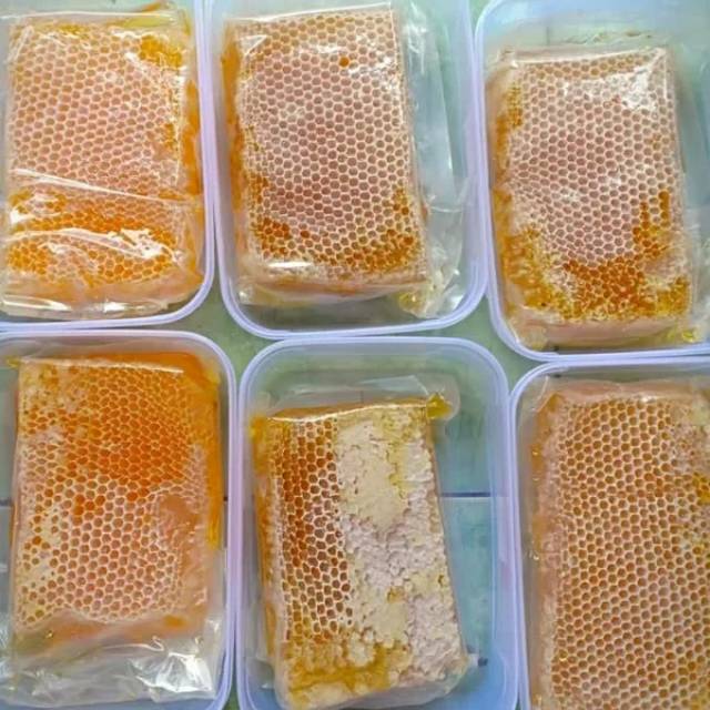 

Madu asli langsung dari sarangnya harga promo