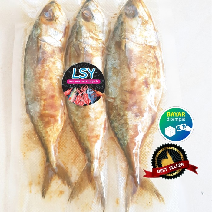 

vf501ge Ikan Asin Peda Merah/Kembung Merah Kualitas No 1 Dscscv