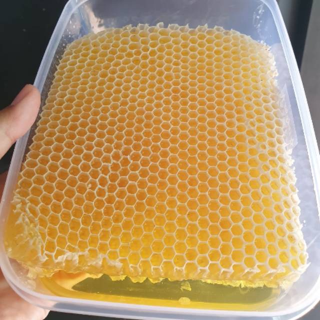

Sarang Madu Melifera 500 gram,Langsung Peternak
