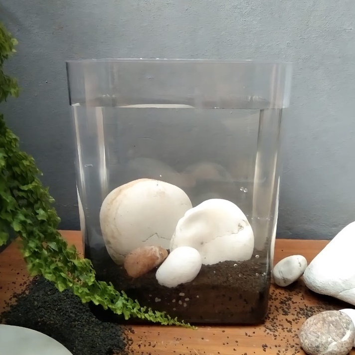 Aquascape / Aquascape Fullset / Aquarium /  Aquarium Cupang / Akuarium / Akuarium Cupang