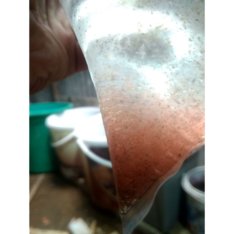 STATER KUTU AIR MOINA SP