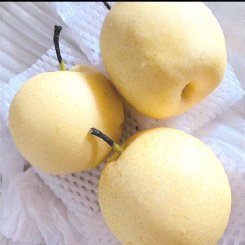 

PIR MADU IMPORT MANIS FRESH ( ORIGINAL ) 1 KG - SUPER KUALIATAS