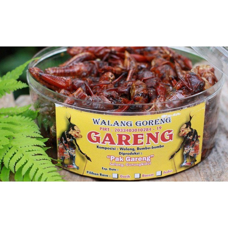 BELALANG / WALANG GORENG PAK GARENG