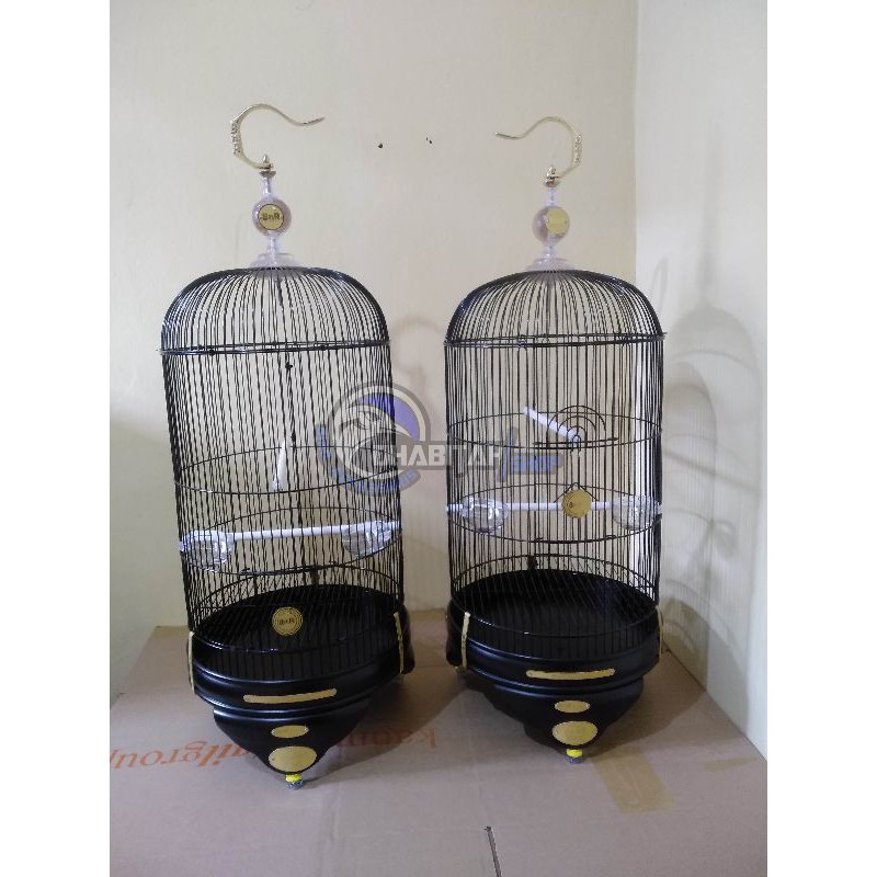 bnr lovebird black doff