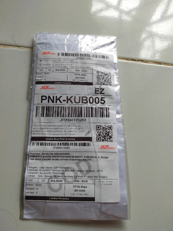 Benih Bibit Bunga Mawar Mixed 25 Warna (isi 50 Biji)