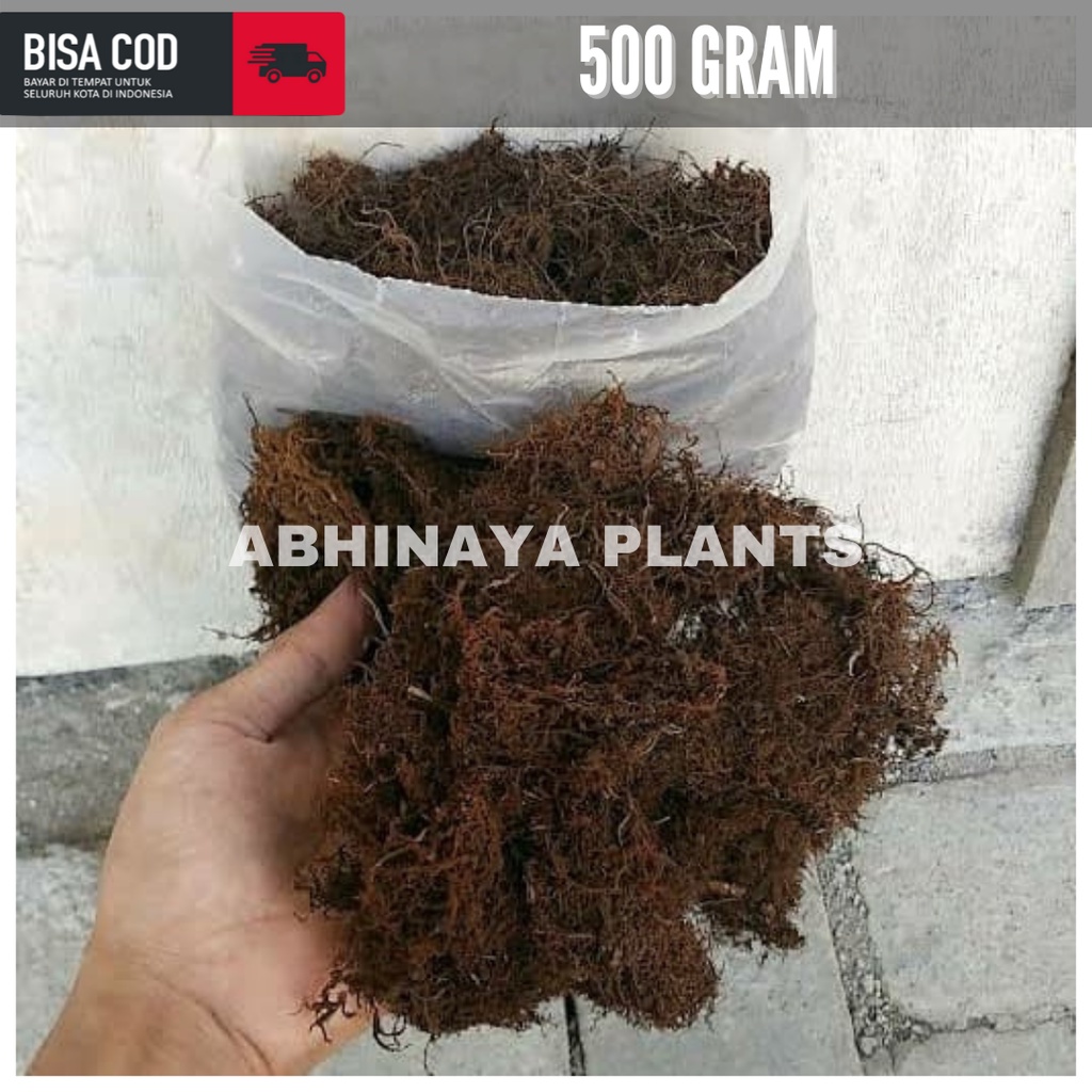Akar kadaka - Media tanam anggrek - Moss hitam akar kadaka 500gr