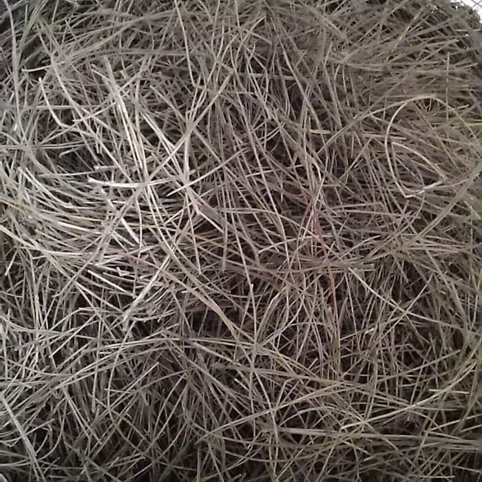 

READYSTOCK Daun pinus kering sarang burung 1kg