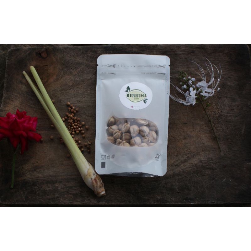 

Kapulaga Jawa tanpa pemutih / kapol / kapulaga / True Cardamom / Rempah / JSR ( 100% Murni original )