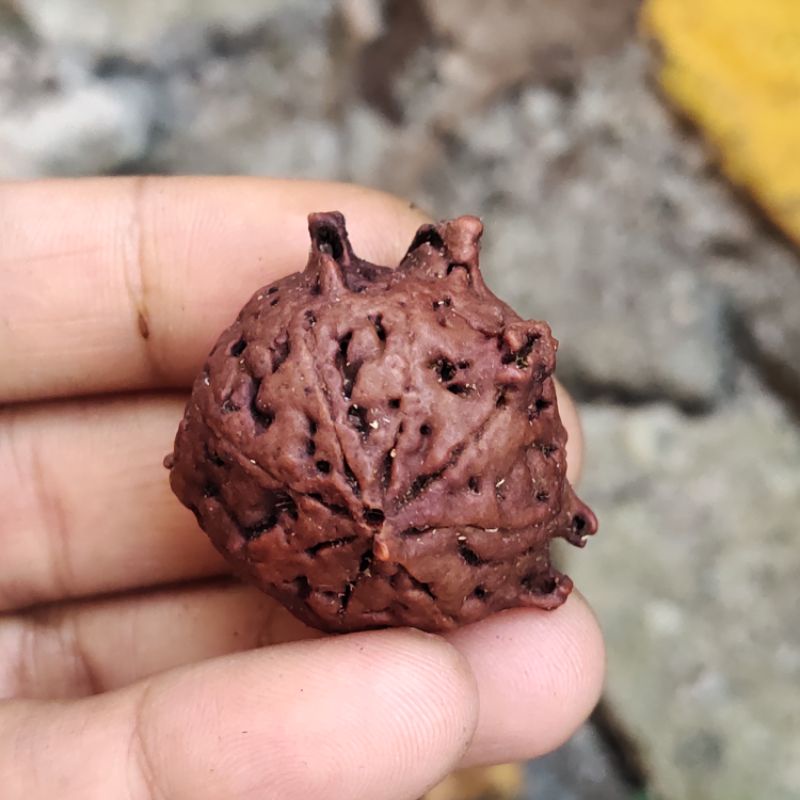 liontin rudraksha ganesha double