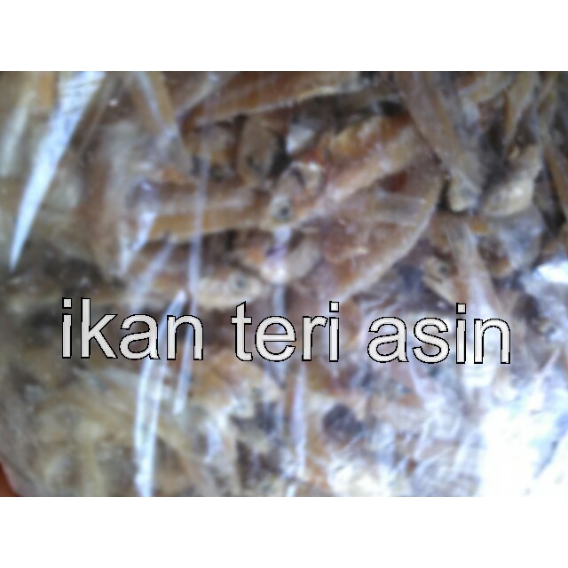 

ikan teri asin 500gram mentah