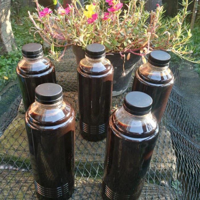 

Jahe Merah Cair 500 ml (BERKUALITAS)