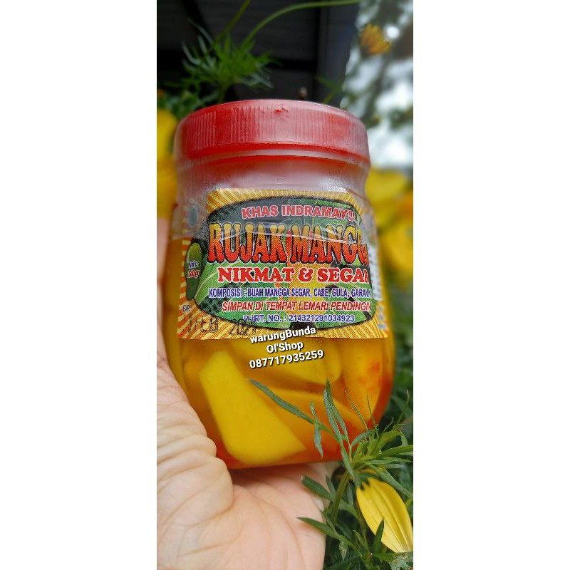

Rujak Mangga