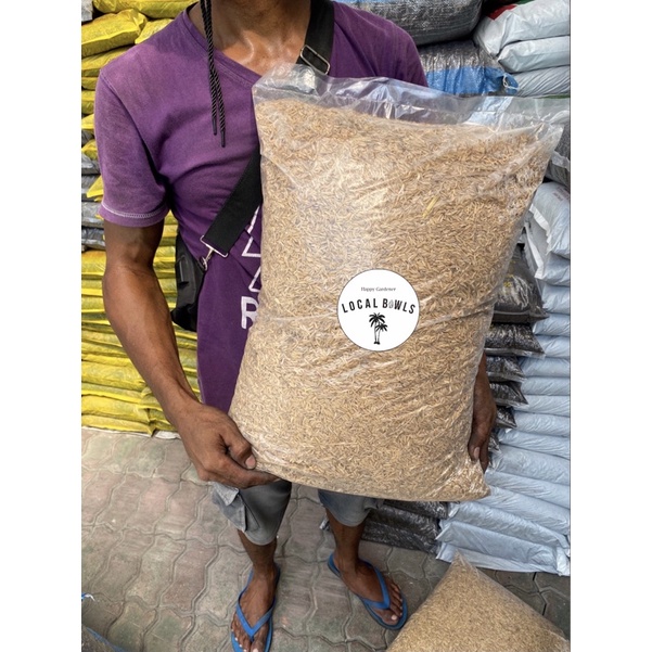 media tanam sekam padi mentah plastik besar