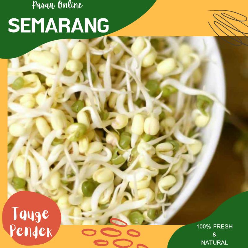 

Sayur Sayuran Tauge / Cambah / Kecambah Fresh Segar / Belanja Murah / Praktis / Makanan Sehat