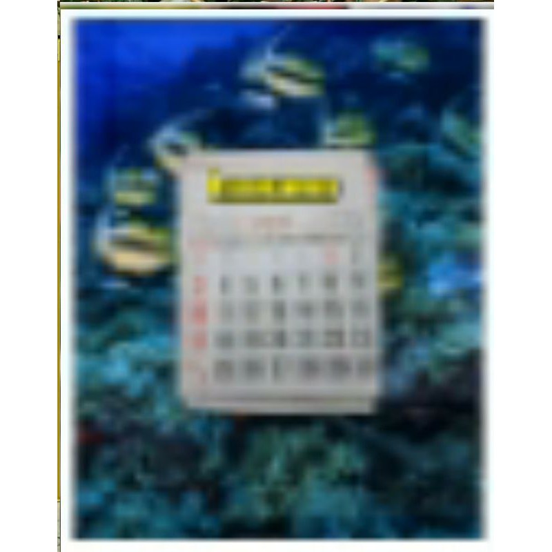 Kalender 2021 Dinding Polos Jumbo / Besar