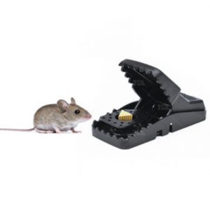 PERANGKAP TIKUS MOUSE TRAP MICE JEBAKAN BASMI AMAN RACUN PEMBASMI ORIGINAL [QTOP.ID]