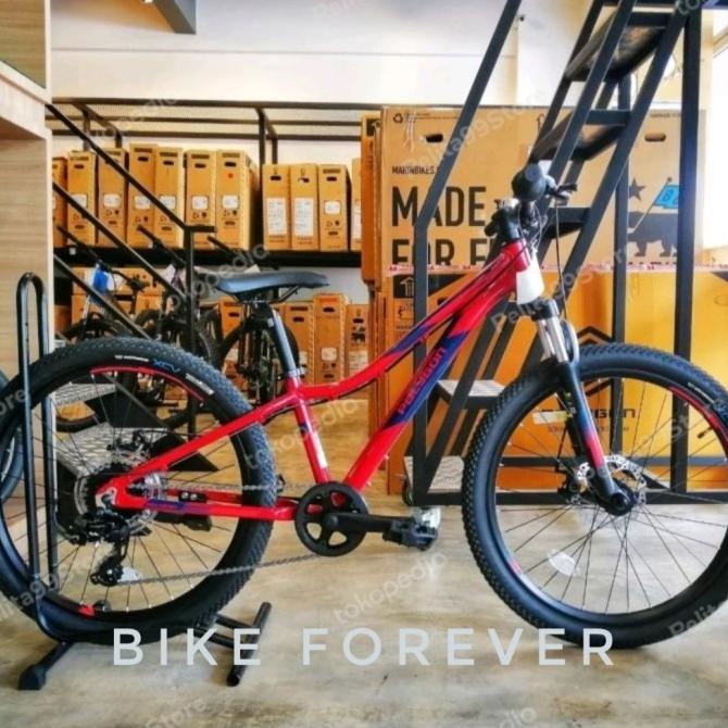 SEPEDA GUNUNG MTB POLYGON RELIC 24INCH FDGDF34545