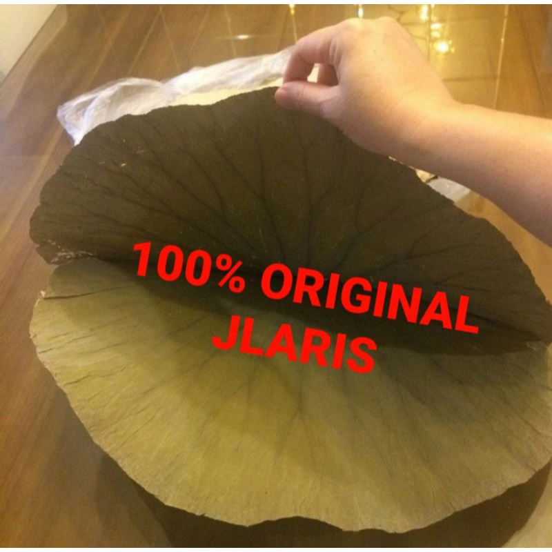 

Daun teratai kering / Dried Lotus leaves Tea 100gram