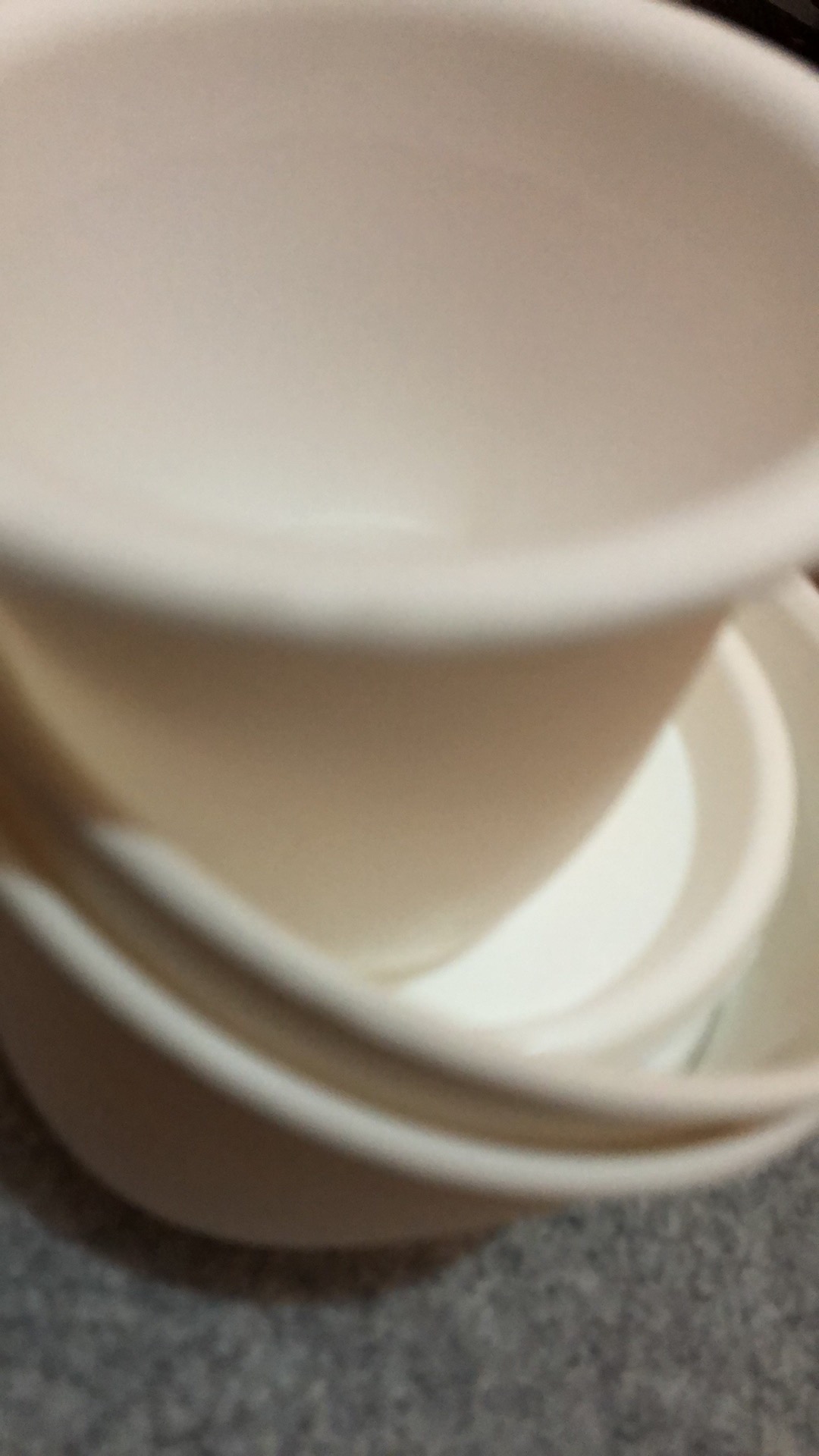 Pot Bunga Tanaman Cactus Putih 10cm + Tatakan Putih