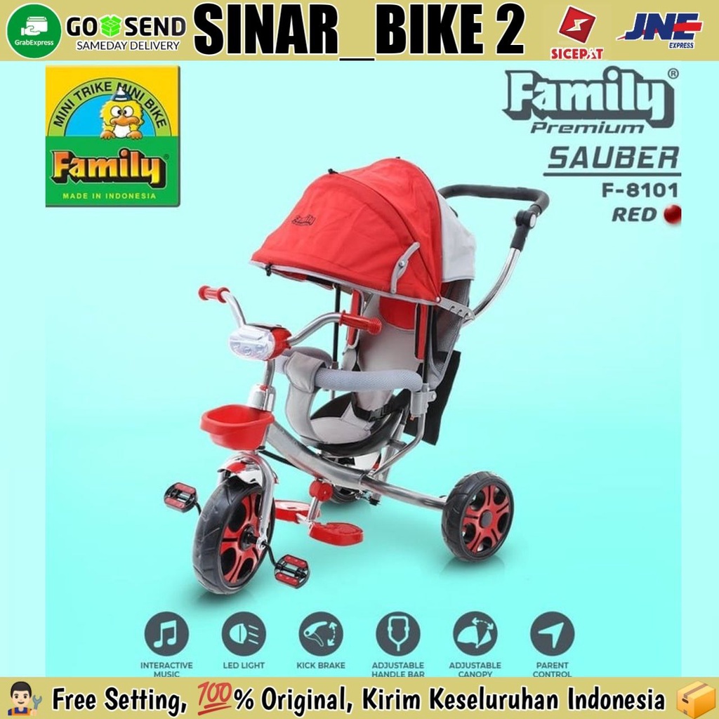 Sepeda Anak Roda Tiga Family F-8101 Sponge Safety Guard Tongkat Dorong Tricycle